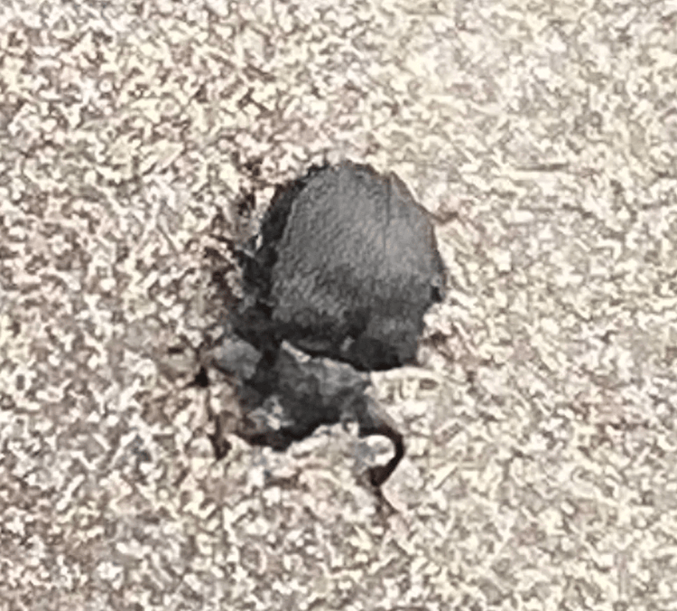 Are they TICKS?!?! -  InfusenClip™ by Birdie Everything LLC