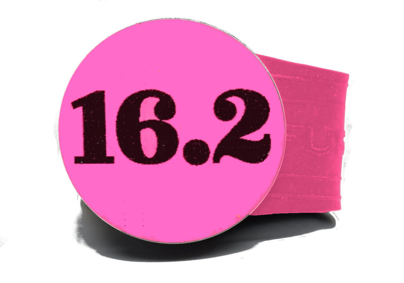 Load image into Gallery viewer, USGA Golf Rule 16.2 Ball Marker (Pink coin) on a Pink InfusenClip™
