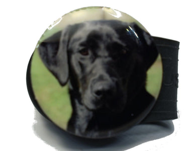 Black Labrador - InfusenClip™ by Birdie Everything LLC